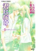 小説版　君に届け６　～告白をもういちど～【カラーイラスト付】(コバルト文庫)