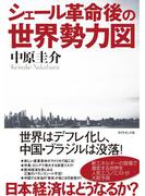 シェール革命後の世界勢力図