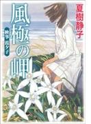 検事 霞夕子 風極の岬