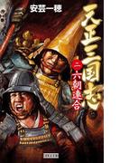 天正三国志2(歴史群像新書)