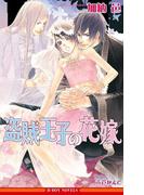 盗賊王子の花嫁【イラスト入り】(ビーボーイノベルズ)