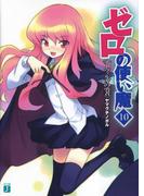 ゼロの使い魔 10　イーヴァルディの勇者(MF文庫J)