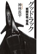 グッドラック　戦闘妖精・雪風