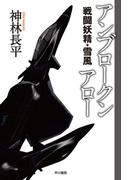 アンブロークンアロー 戦闘妖精・雪風