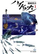 ハイドゥナン１