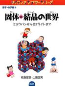 固体＝結晶の世界 ミョウバンからゼオライトまで(サイエンスシアターシリーズ)