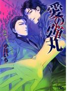 愛の弾丸(幻冬舎ルチル文庫)