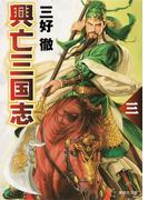 興亡三国志　三(集英社文庫)