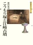 こうもり塚と江崎古墳(吉備考古ライブラリィ)