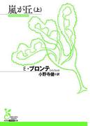 嵐が丘（上）(光文社古典新訳文庫)