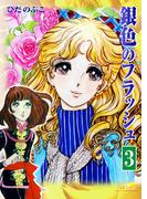 銀色のフラッシュ（３）