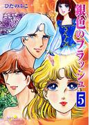 銀色のフラッシュ（５）