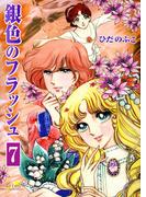 銀色のフラッシュ（７）