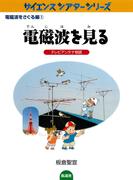 電磁波を見る テレビアンテナ物語(サイエンスシアターシリーズ)