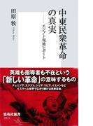 中東民衆革命の真実――エジプト現地レポート(集英社新書)