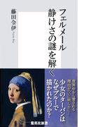 フェルメール　静けさの謎を解く(集英社新書)