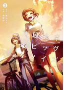 階段途中のビッグ・ノイズ3巻(ビッグガンガンコミックス)