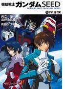機動戦士ガンダムＳＥＥＤ　１　すれ違う翼(角川スニーカー文庫)