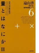 遠山啓著作集・数学教育論シリーズ　6　量とはなにか　２　多次元量・微分積分