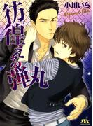 彷徨える弾丸(幻冬舎ルチル文庫)