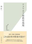 アメリカ下層教育現場(光文社新書)