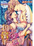 囚われ蜜乙女と千一夜2(TL濡恋コミックス)
