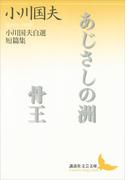あじさしの洲　骨王(講談社文芸文庫)