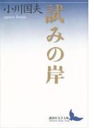 試みの岸(講談社文芸文庫)