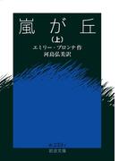 嵐が丘　上(岩波文庫)