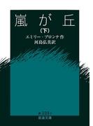 嵐が丘　下(岩波文庫)
