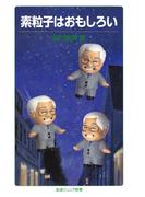 素粒子はおもしろい(岩波ジュニア新書)