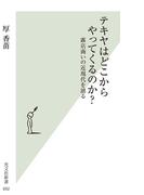 テキヤはどこからやってくるのか？～露店商いの近現代を辿る～(光文社新書)