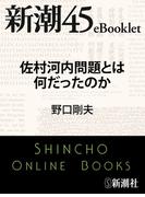佐村河内問題とは何だったのか―新潮45eBooklet(新潮45eBooklet)