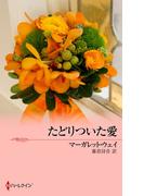 たどりついた愛(サマー・シズラー)