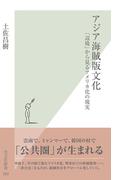 アジア海賊版文化～「辺境」から見るアメリカ化の現実～(光文社新書)