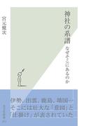 神社の系譜～なぜそこにあるのか～(光文社新書)