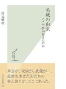 名城の由来～そこで何が起きたのか～(光文社新書)