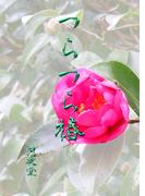 つらつら椿(書肆月夜堂)