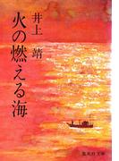 火の燃える海(集英社文庫)