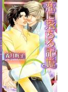 恋に落ちる記憶(リンクスロマンス)