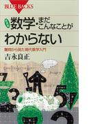 新装版　数学・まだこんなことがわからない　難問から見た現代数学入門(ブルー・バックス)