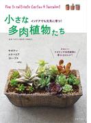 小さな多肉植物たち
