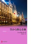 空から降る奇跡(クリスマス・ストーリー)