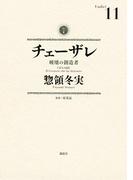 チェーザレ　破壊の創造者（11）