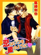 恋はいつも嵐のように5(BL宣言)