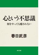 心という不思議　何をやっても癒されない(角川文庫)