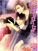 奥さんにならなきゃ(幻冬舎ルチル文庫)