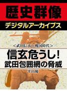 ＜武田信玄と戦国時代＞信玄危うし！武田包囲網の脅威(歴史群像デジタルアーカイブス)
