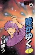 愛がゆく　11(少年ビッグコミックス)