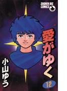 愛がゆく　12(少年ビッグコミックス)